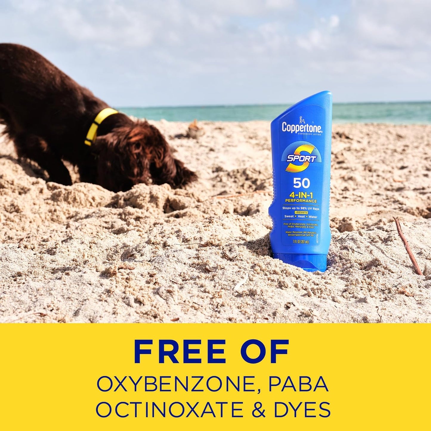 Sport Sunscreen Lotion SPF 50, 8Oz