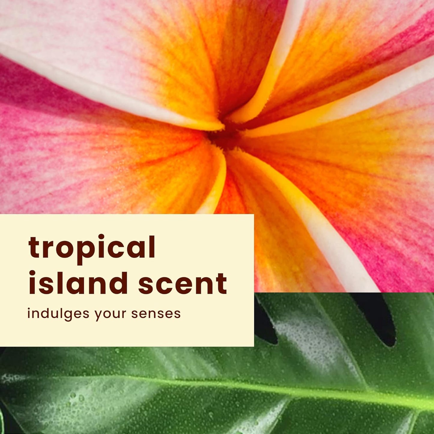 Island Sport Broad Sprectrum Sunscreen Lotion, SPF 50 - 8 Ounce