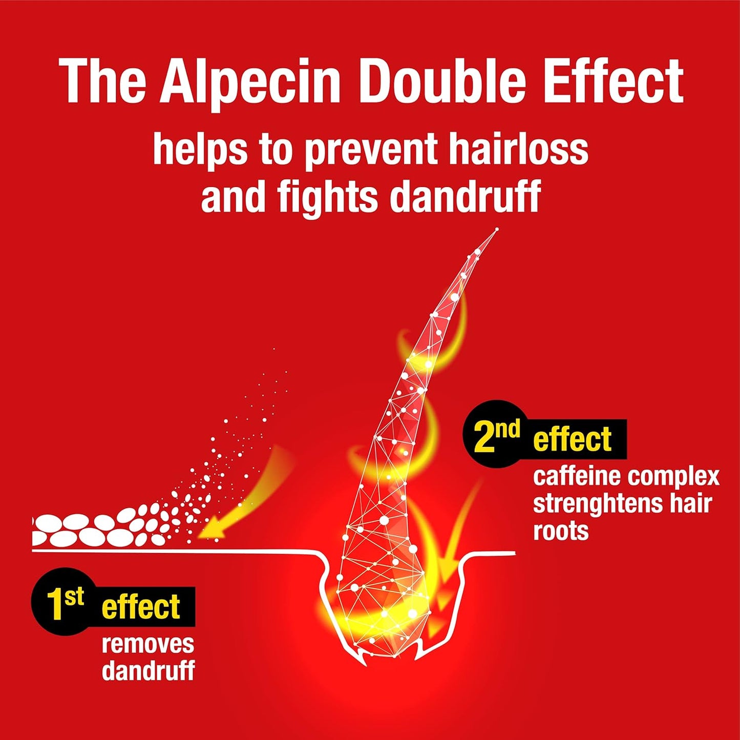 Double Effect Shampoo 3X 200Ml | anti Dandruff and Natural Hair Growth Shampoo | Energizer for Strong Hair | Hair Care for Men Made in Germany