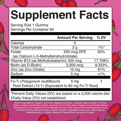 Maryruth'S Biotin Gummies - Sugar Free - 2 Month Supply - Nutrients for Hair Skin & Nails - Biotin 2500Mcg - Zinc - B Vitamins - Vegan - 60 Count